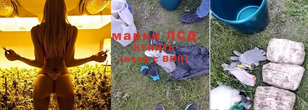 spice Волоколамск