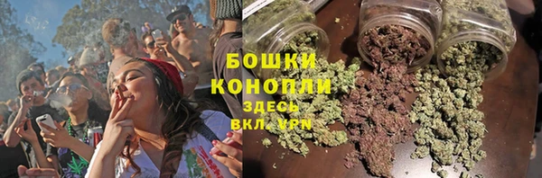 ПСИЛОЦИБИНОВЫЕ ГРИБЫ Волосово