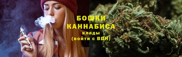 ПСИЛОЦИБИНОВЫЕ ГРИБЫ Волосово
