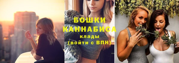 ПСИЛОЦИБИНОВЫЕ ГРИБЫ Волосово